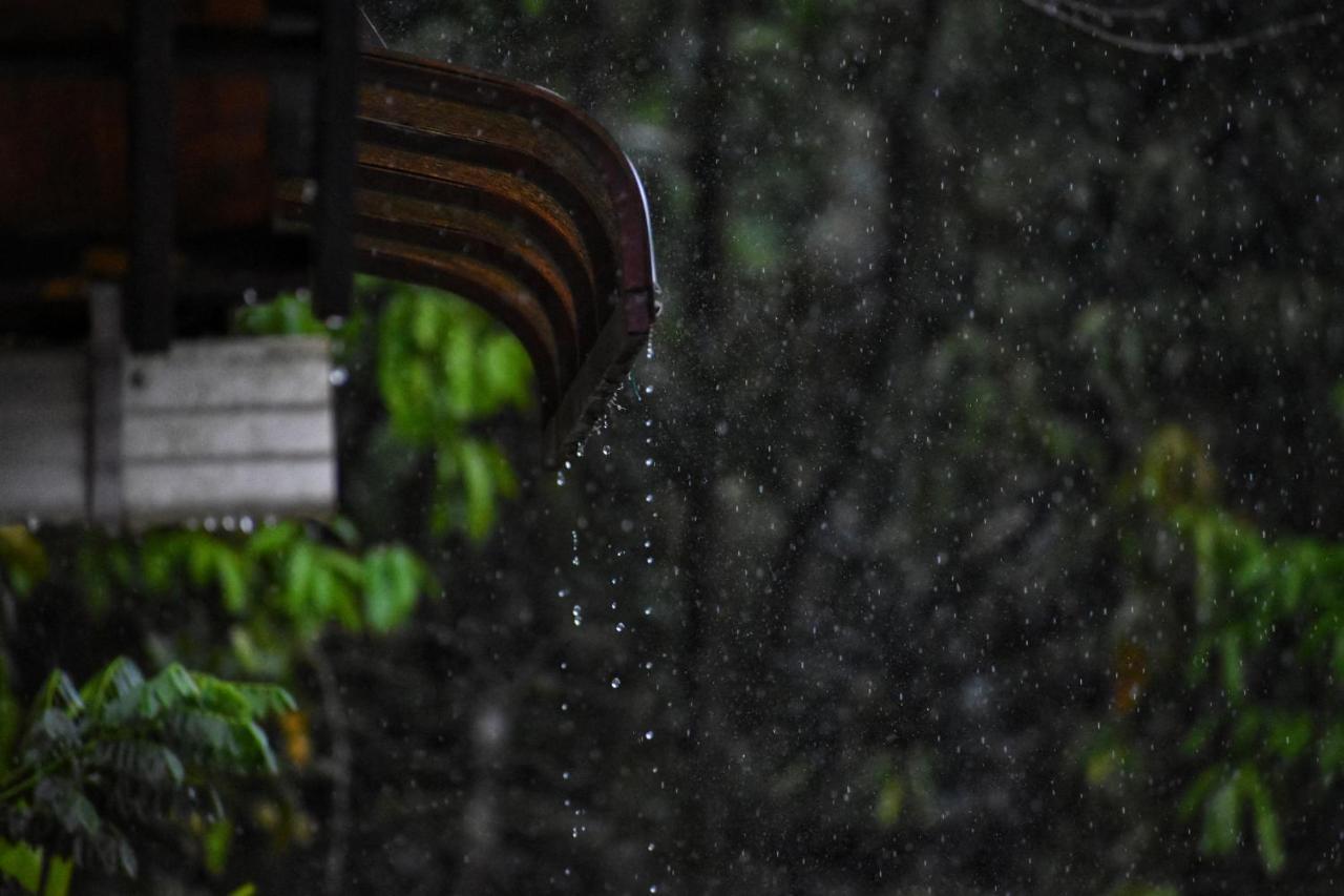 Double Room Mountain View