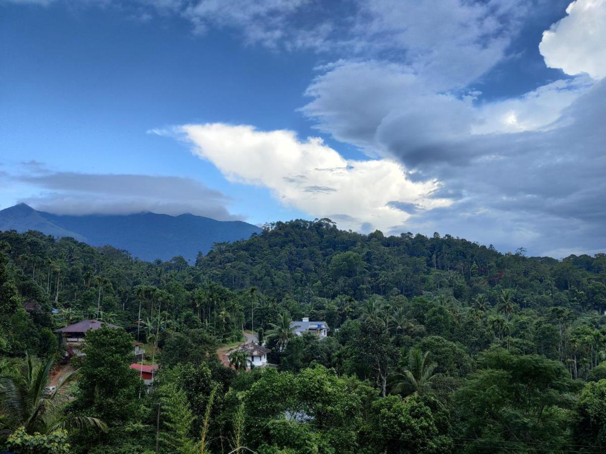 Double Room Mountain View