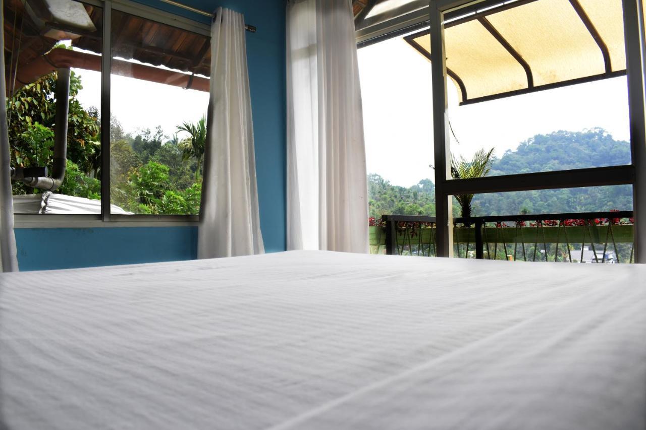 Double Room Mountain View