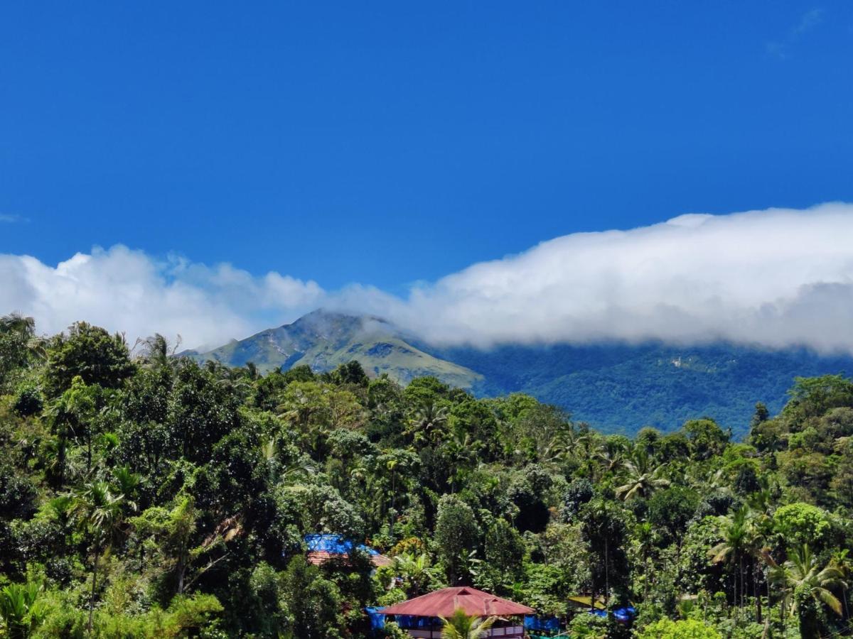 Double Room Mountain View