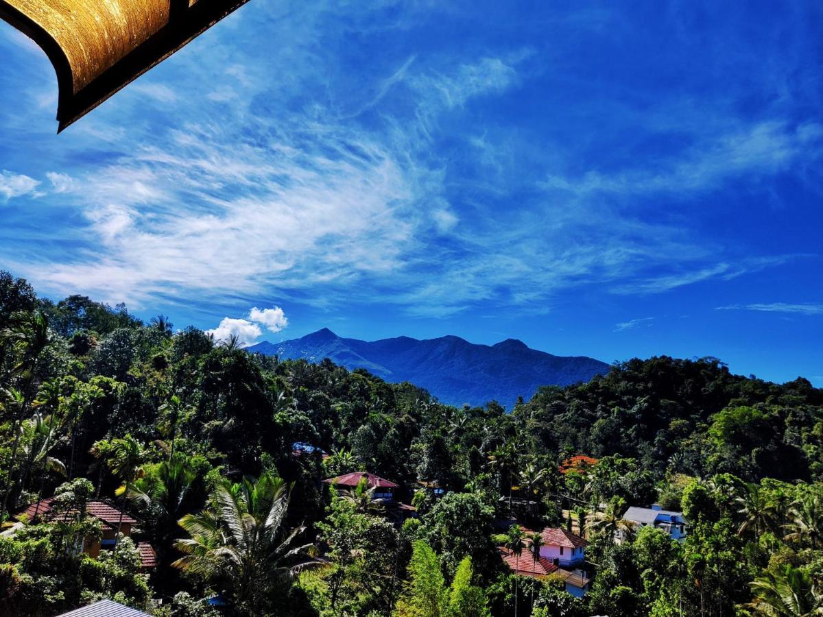 Double Room Mountain View