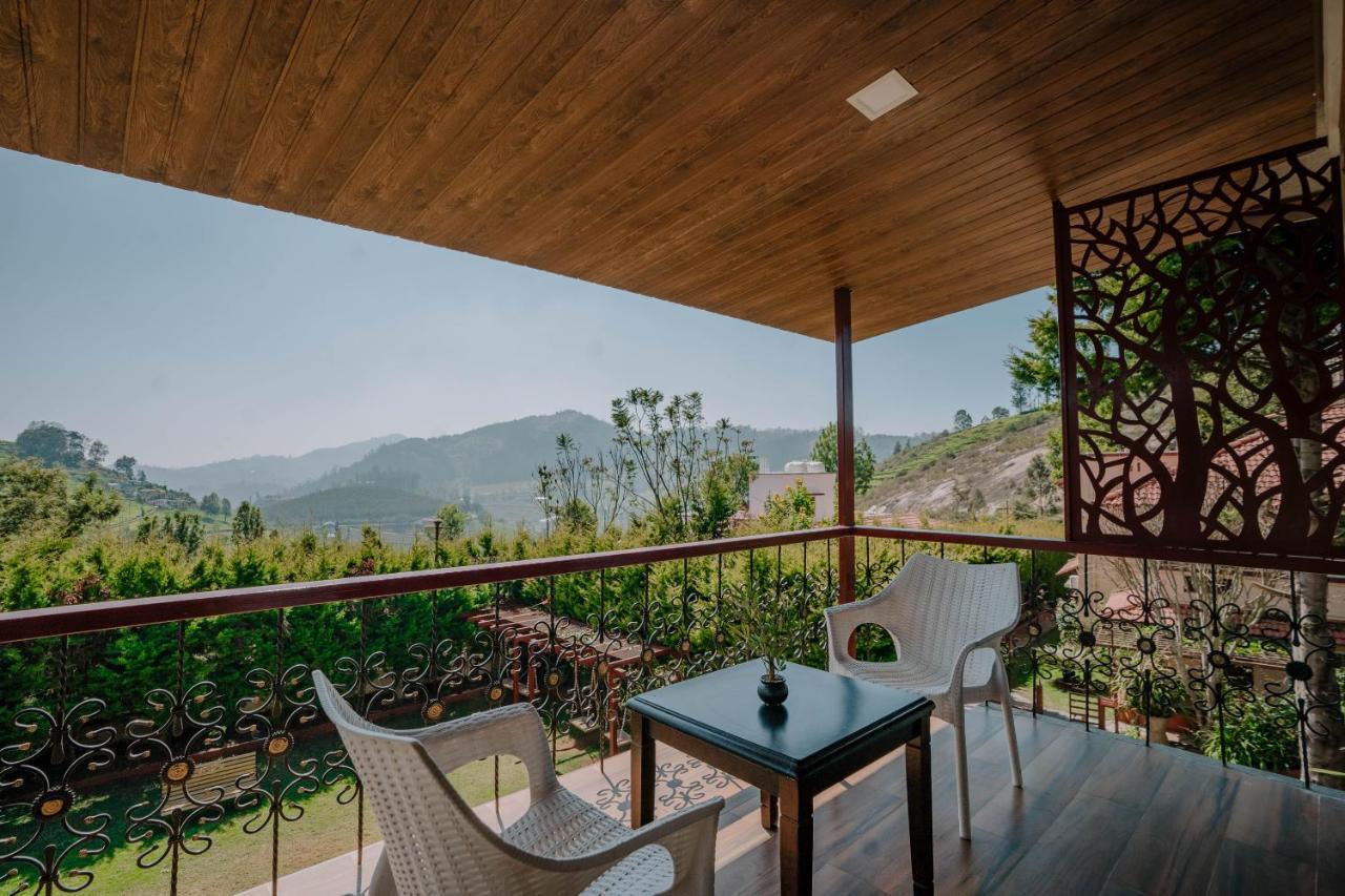 Suite Mountain View