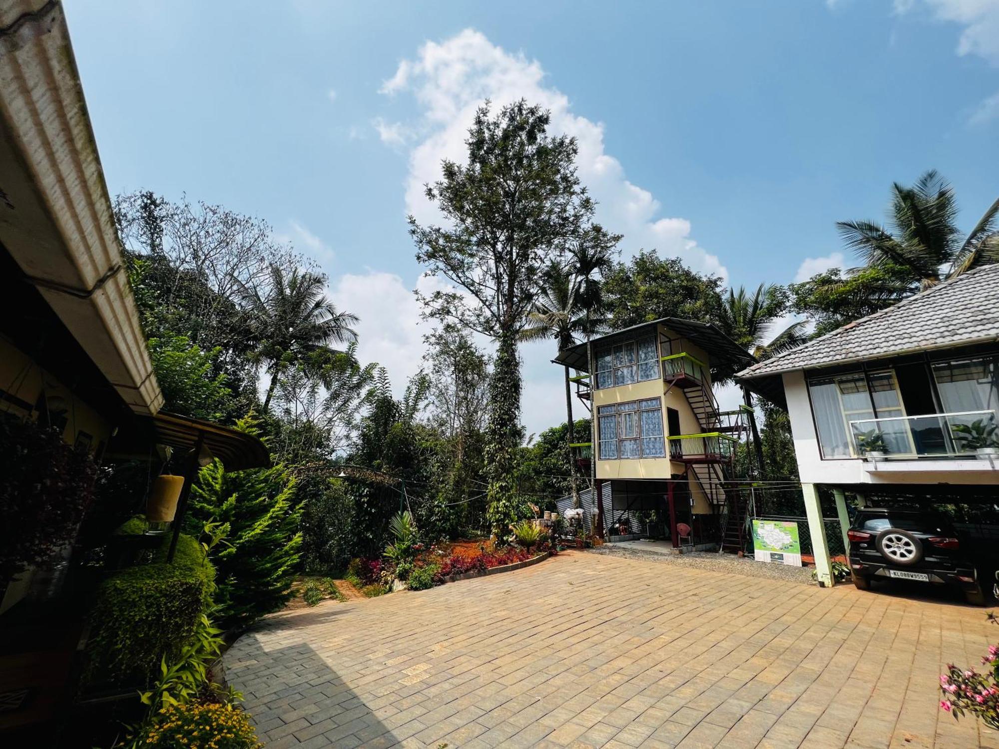 Double Room Mountain View