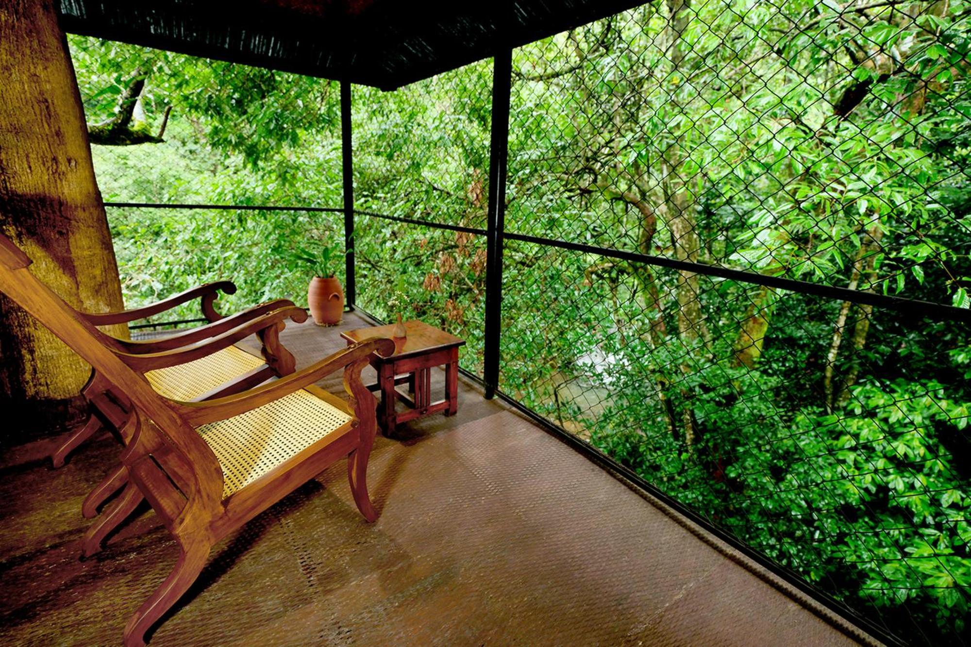 Family Tree House