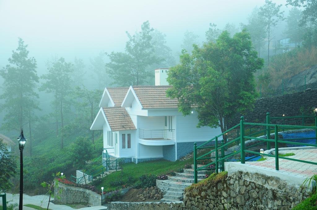 Standard Villa,206242672:JPEG