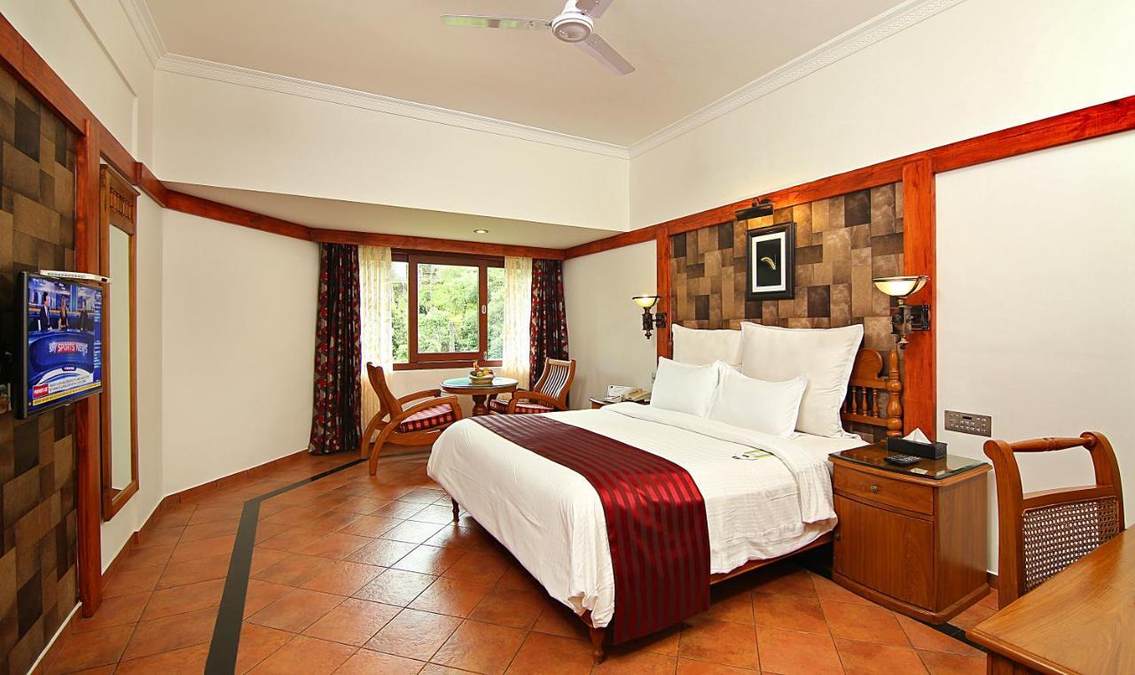 Deluxe Double or Twin Room,766790587:JPEG