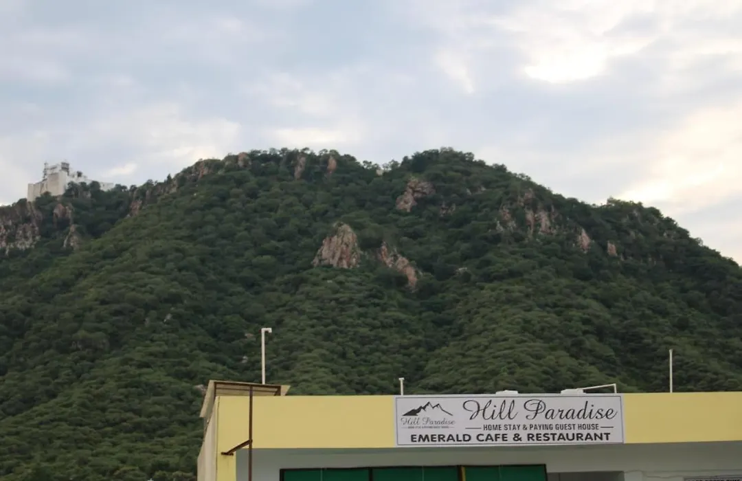 Hill Paradise Home Stay-1