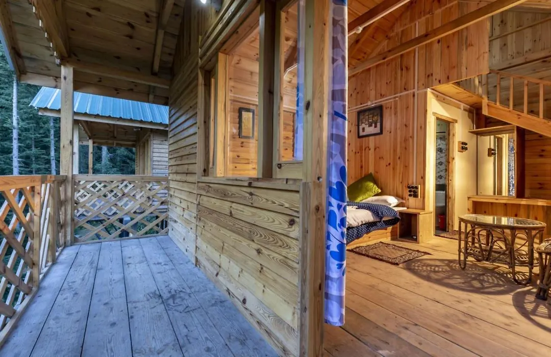 Mid Conifer Cottage-1