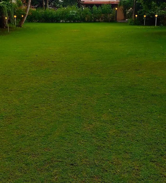 Dreamland By Nature'S Abode Villas-1
