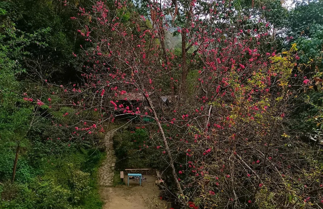 Tathagata Farm-1
