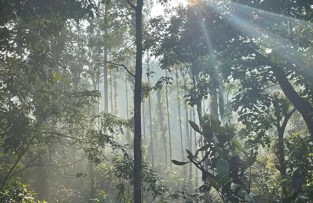 Rai'S Coorg Cave House-1