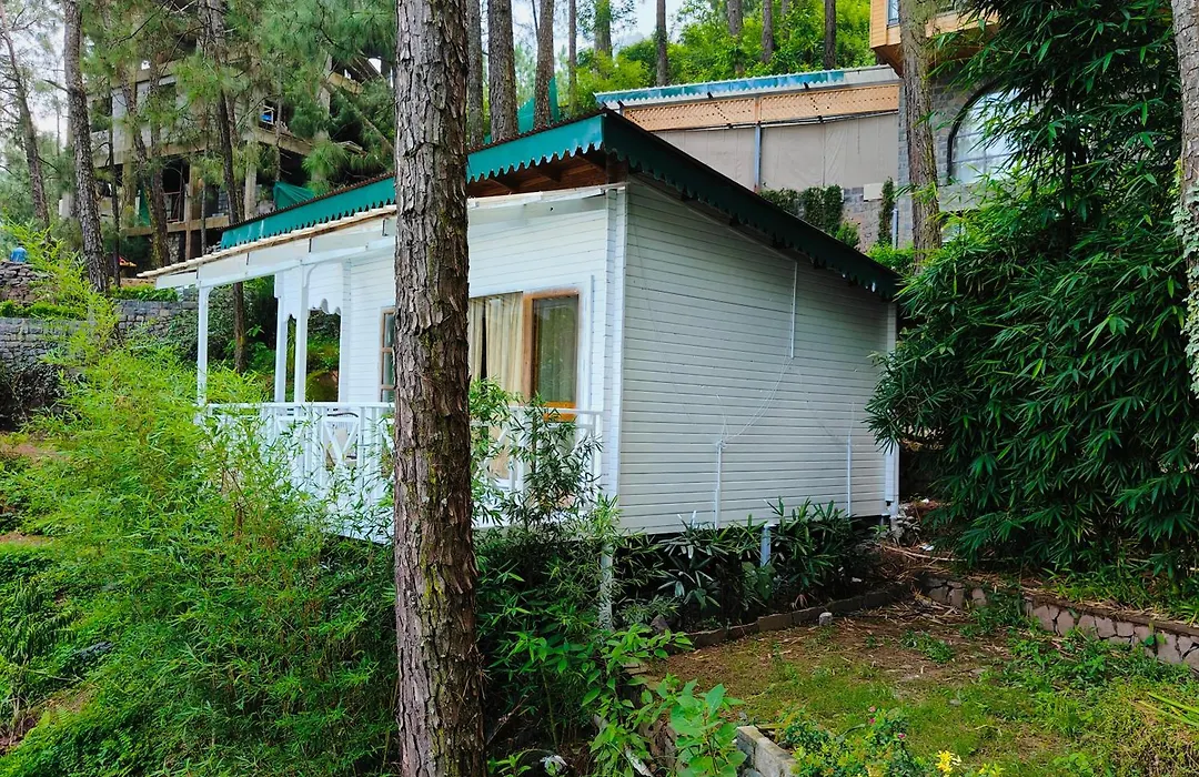 Kasauli Hills Resort-1
