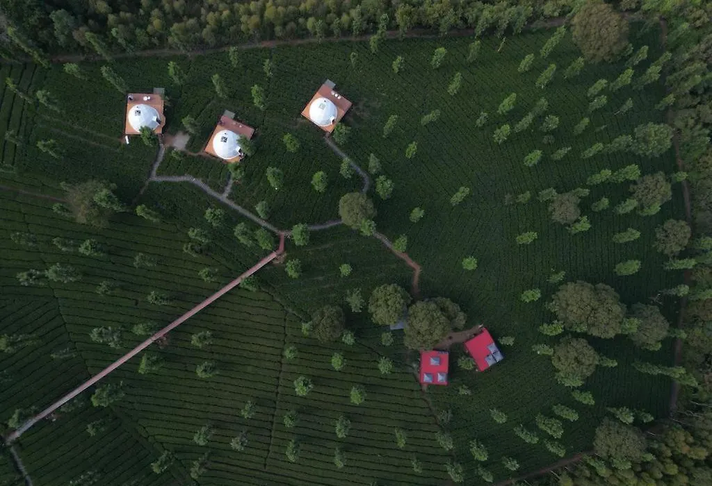Vythiri Tea Valley I Best Hotel In Wayanad L Hotels In Vythiri Wayanad-1