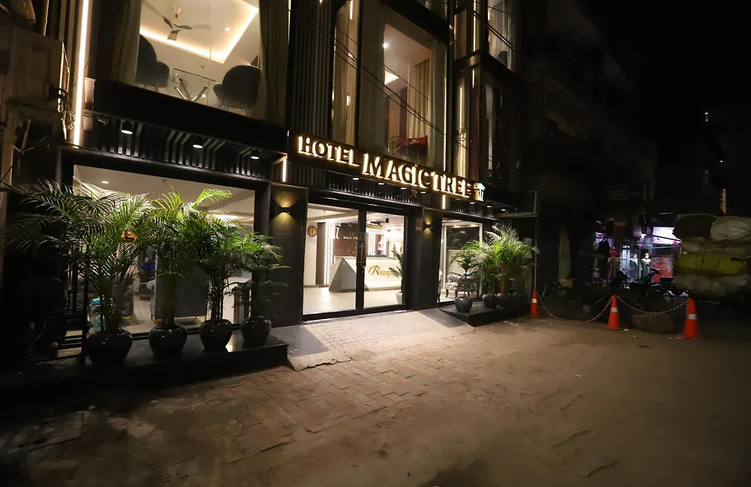 Hotel The Magic Tree - Paharganj New Delhi-1