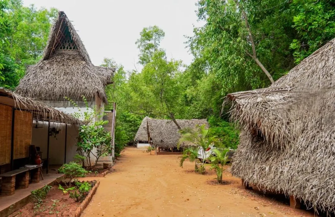 Nebula Nest Cafe & Hostel-1