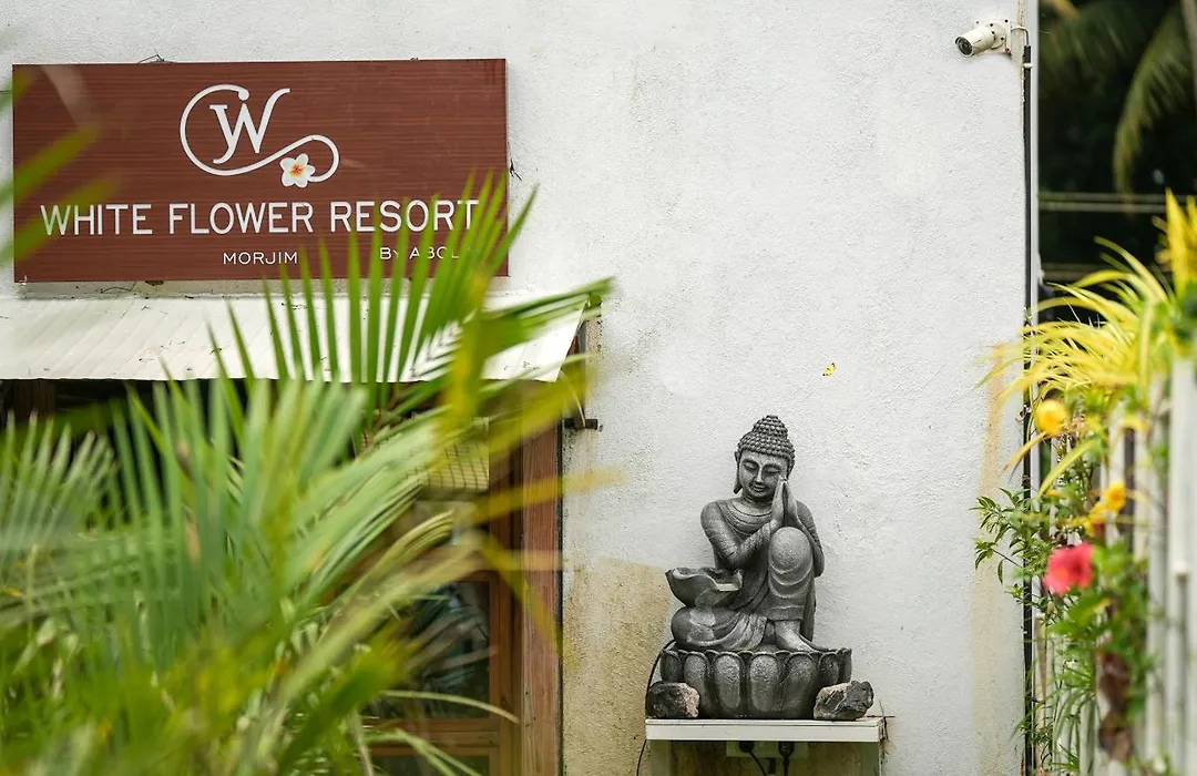 Whiteflower Resort Morjim-1