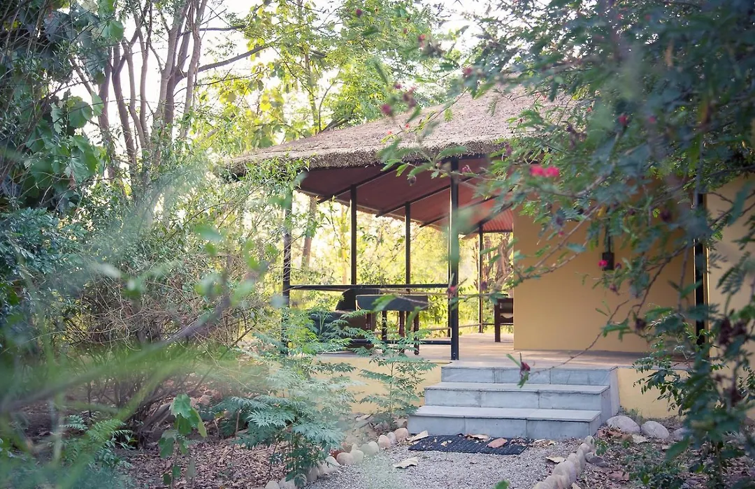 Jim'S Jungle Retreat-1