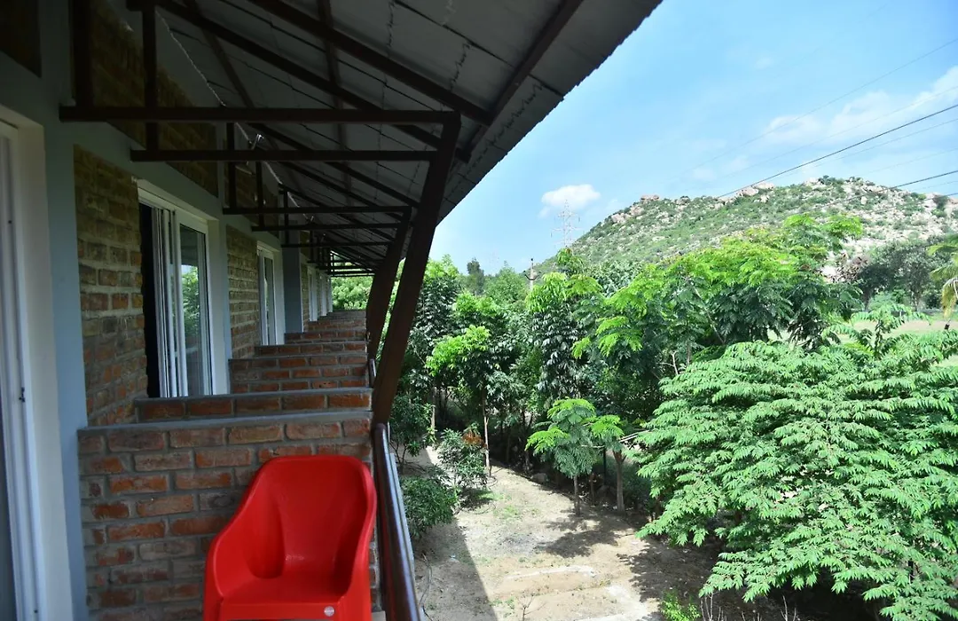 3Season Resort Hampi-1
