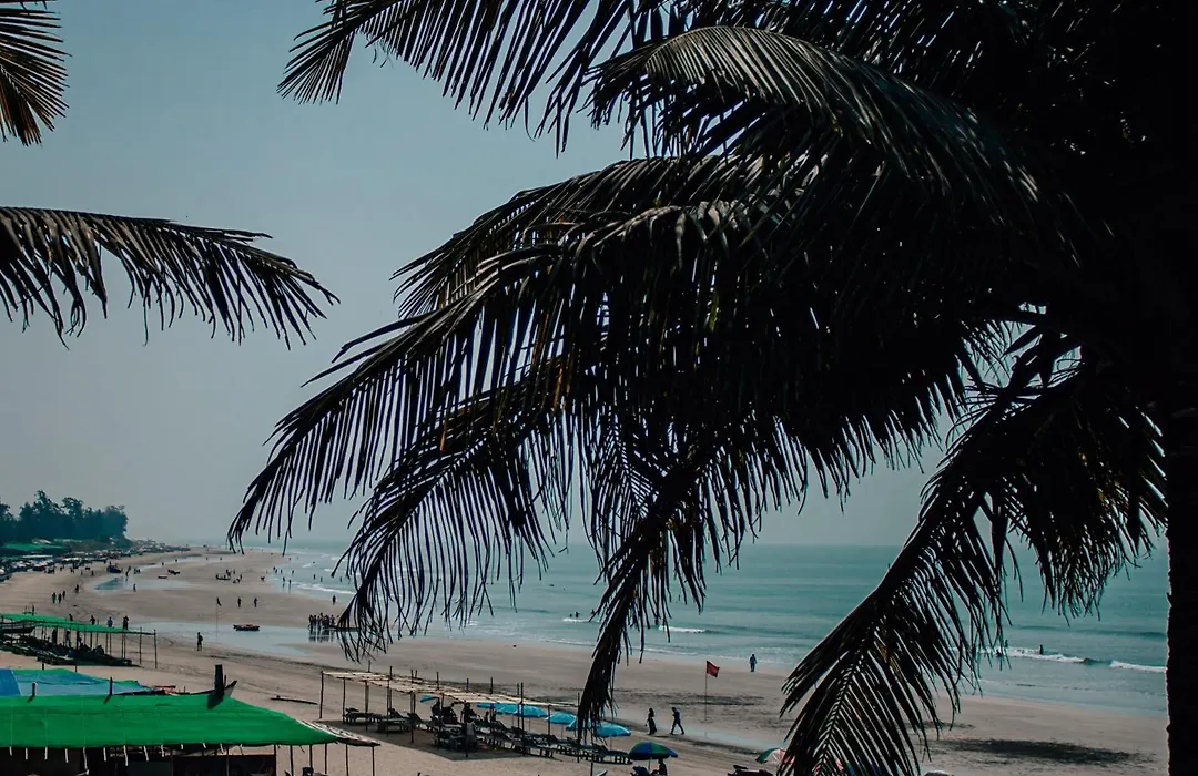 This Is It Stays - Beach View Rooms & Huts-1