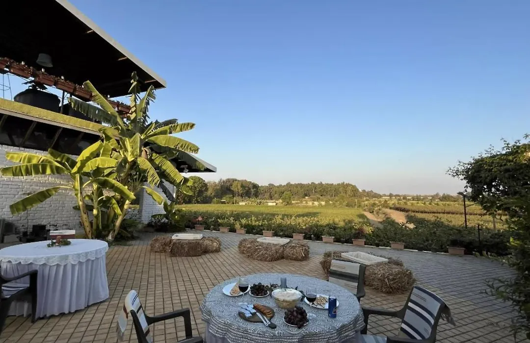 Saffronstays Onellaa, Nashik - Infinity Pool Villa Surrounded By A Vineyard-1
