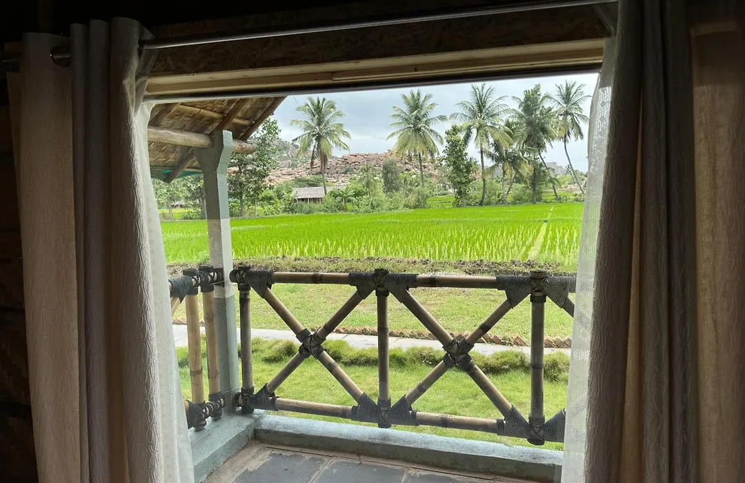 Dream Mango Hampi-1