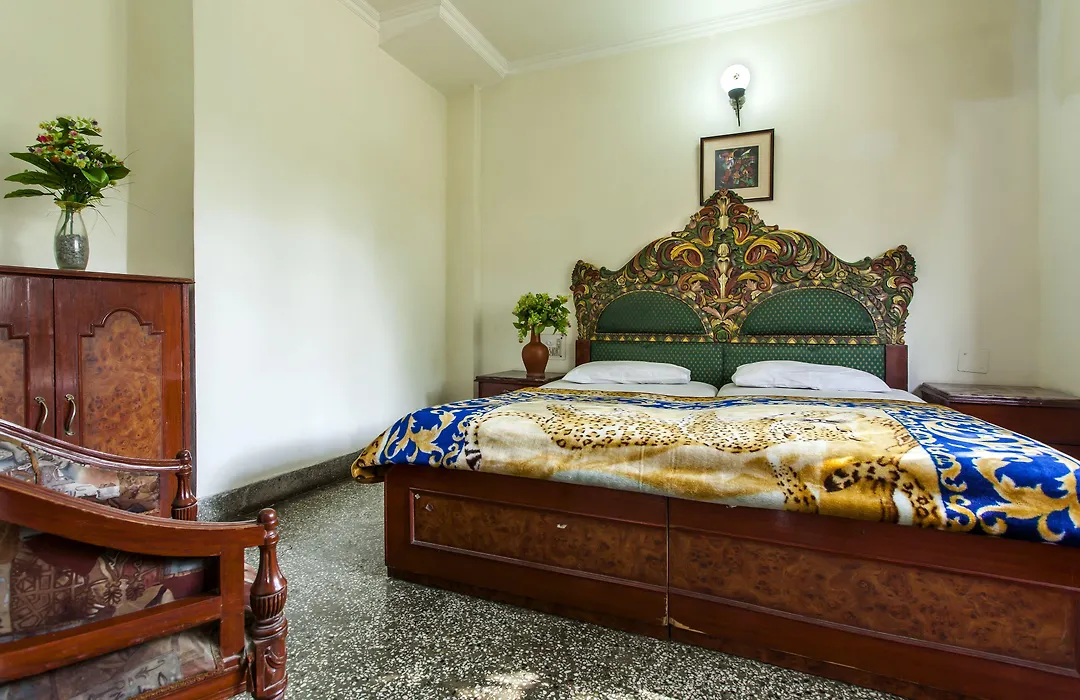 Hotel Sunshine - Karol Bagh Budget Stay At New Delhi-1