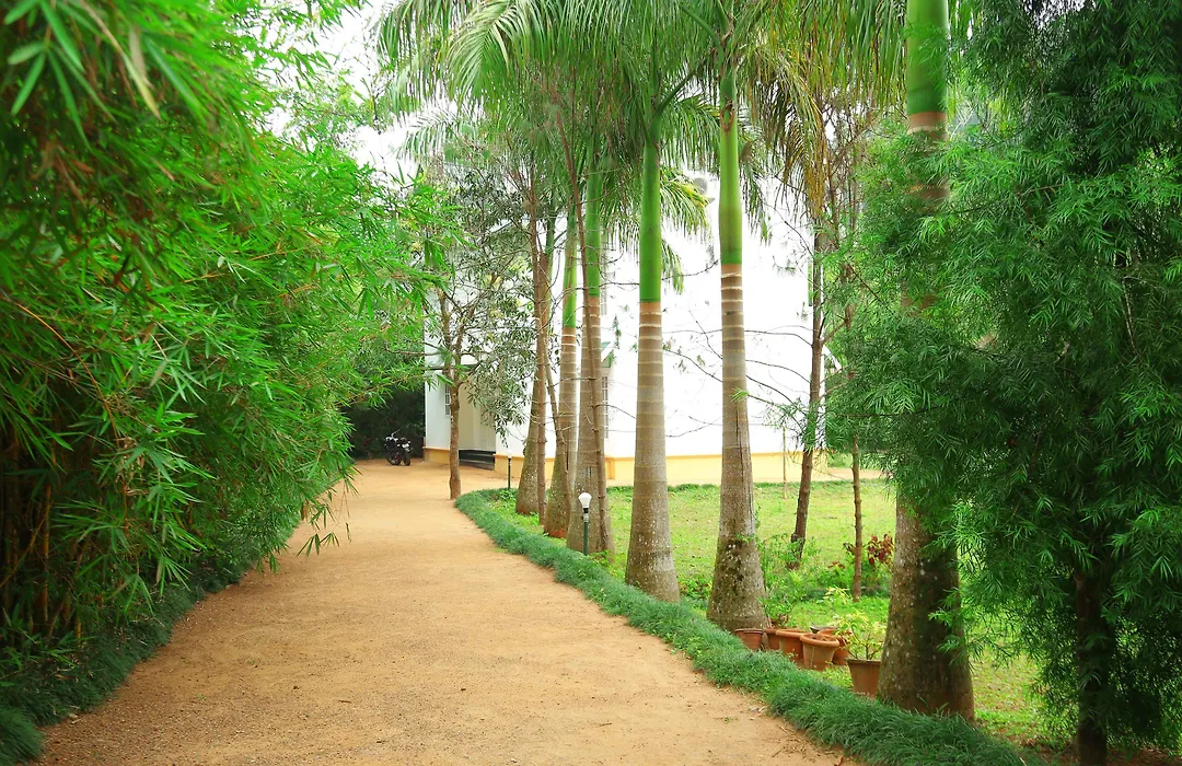 Vythiri Greens Holiday Resort-1