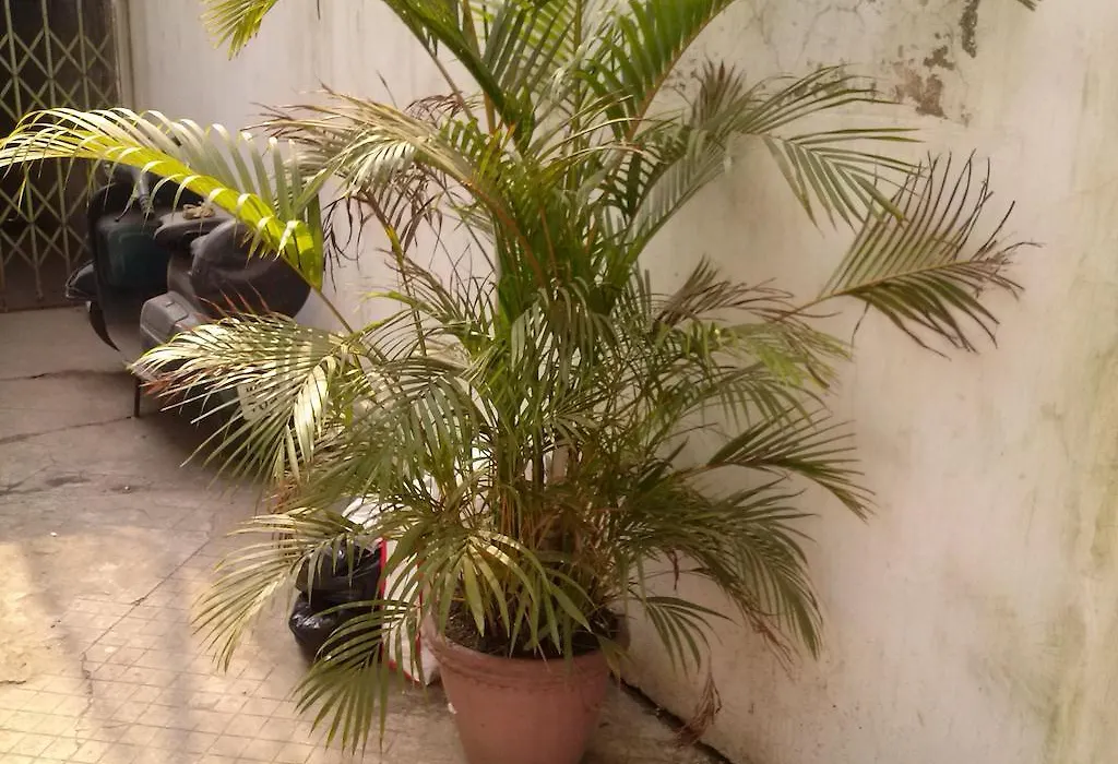 Capital Guest House-1