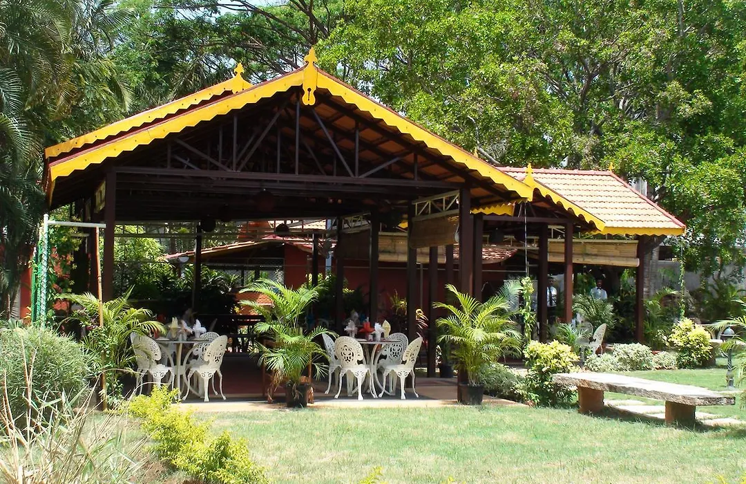The Village-1