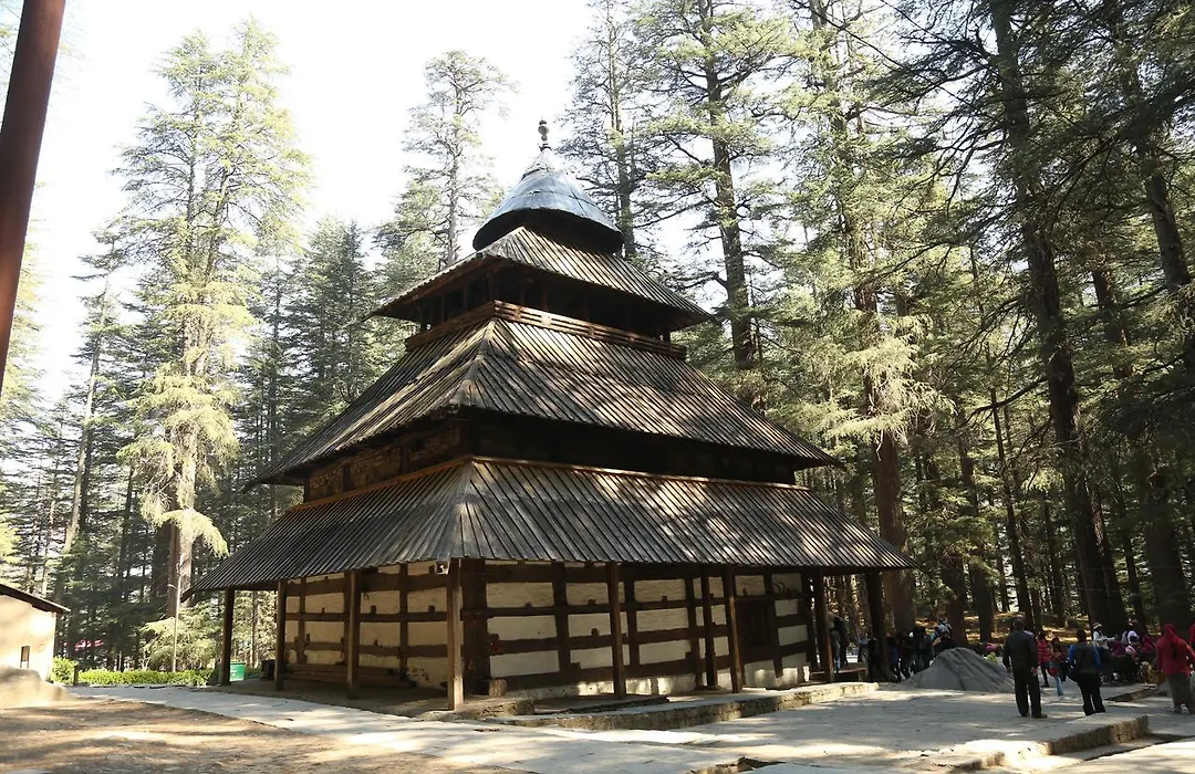 Hotel Mountain Trail Manali-1