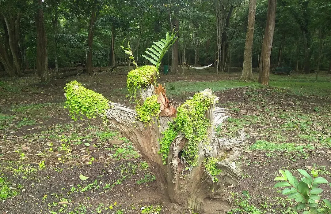 Ktdc Periyar House-1