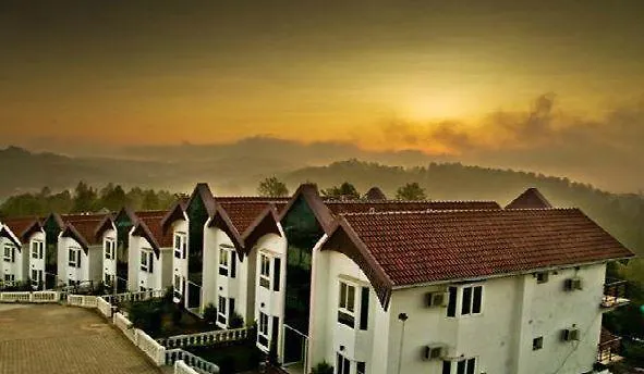 Golden Nest-1