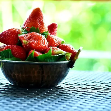 Meridian Villa - Besides Valley View With Swimming Pool & Strawberry Farms-3