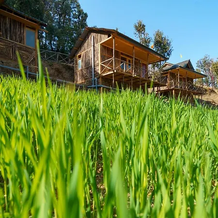 Livingstone Shimla Jungle Stay-3