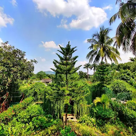 Anil Farms Gir Jungle Resort-2