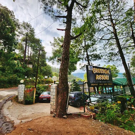 Blossom Resort Kasauli-2