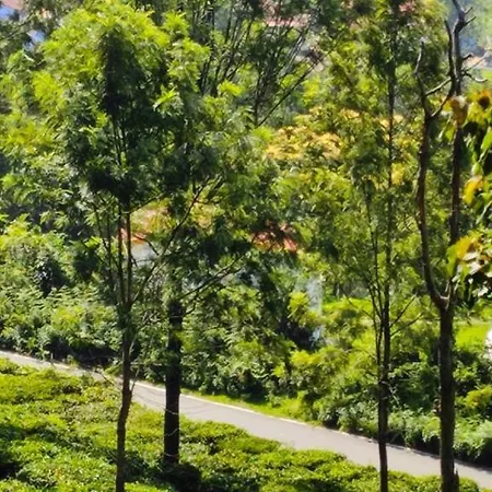 Adithya Sunrise View Cottage-2