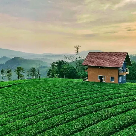 Cloud Canopy - Tea Garden Family Pool Cottage In Vagamon-3