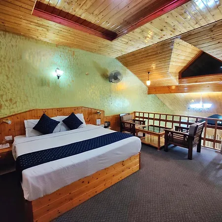 A Star Regency Hotel Manali Near Mall Road-2