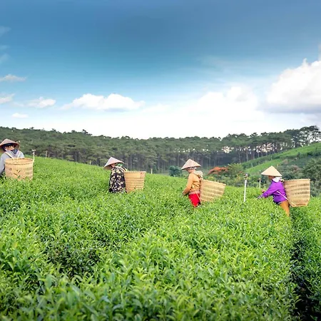 Stayvista's Tree Tops & Tea Trails: Mountain-View Villa in Tea Plantation-2