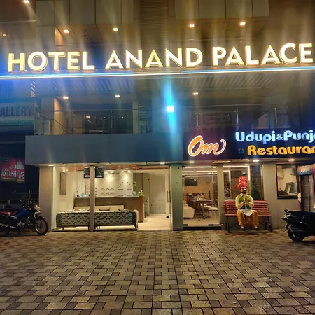 Hotel Anand Palace-3