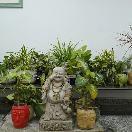 Posh Garden Inn Artemis Hospital Road Gurgaon-3