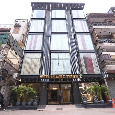 Hotel The Magic Tree - Paharganj New Delhi-3