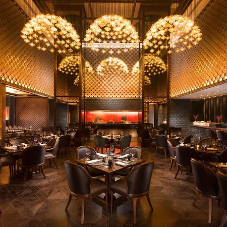 Conrad Pune-3