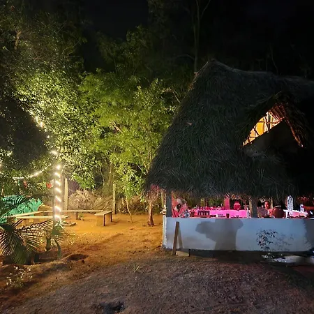 Nebula Nest Cafe & Hostel-2