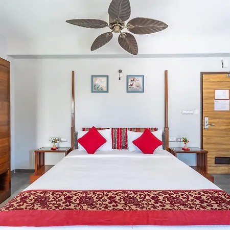 Zense Candolim-3