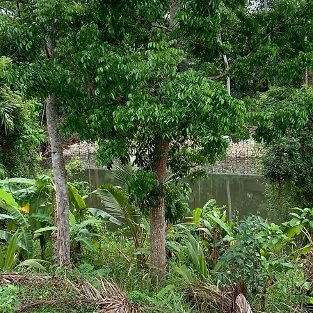 Nirvana Home Stay Tvm -Allure-3