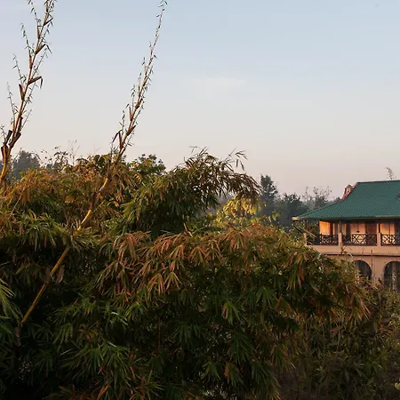 Jim'S Jungle Retreat-3