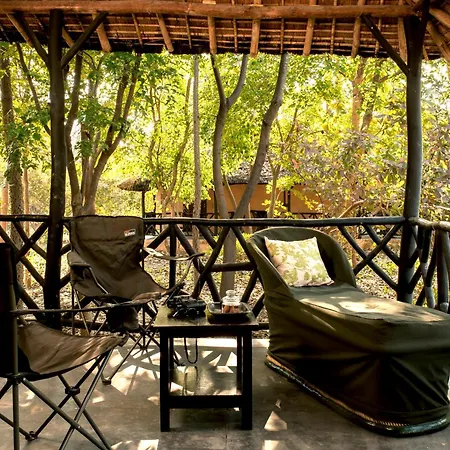 Jim'S Jungle Retreat-2