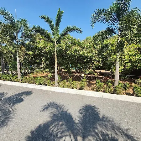 Paradise Forest Resort-2